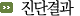 진단결과