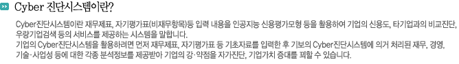 Cyber 진단시스템