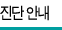 진단 안내