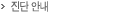 진단 안내